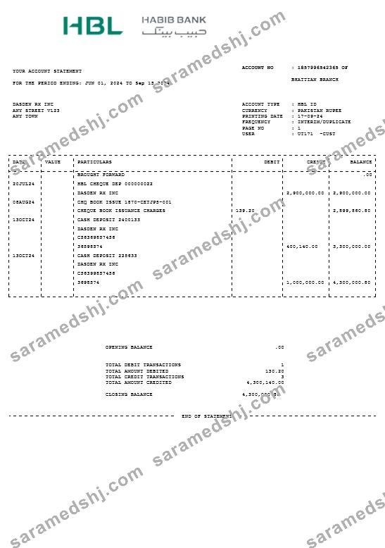 PAKISTAN HBL business utility bill Word and PDF template